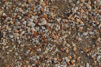 High angle view of stones on beach