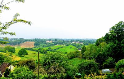 Scenic view of field against clear sky