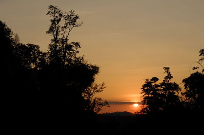 Silhouette trees against sky during sunset