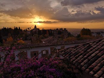 High angle view of flowering plants and buildings against sky during sunset