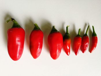 Close-up of red chili peppers against white background