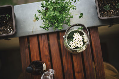 High angle view of potted plant on table