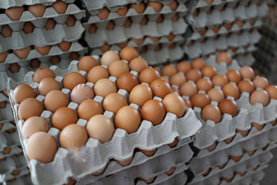 High angle view of eggs in market