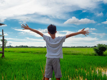 Rear view of an asian boy open his arm out in a green open rice field with clear blue sky