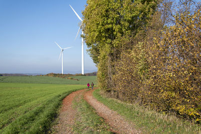 Autumn hike in extertal on the patensteig. the trail in nature park teutoburgerwald and eggegebirge.