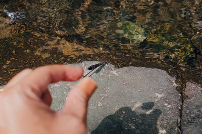 Midsection of person holding rock