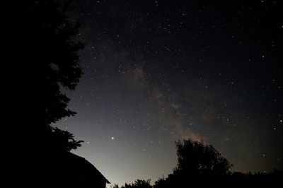 Low angle view of silhouette trees against sky at night