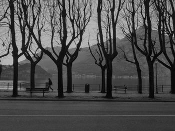 Bare trees by sea against sky