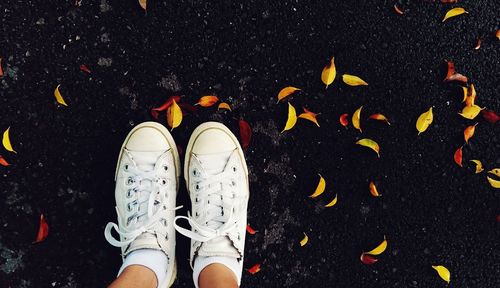 Low section of person wearing shoes standing road with leaves