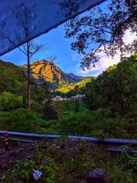 Scenic view of forest against sky during autumn