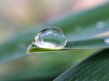 Close-up of dew drops on glass