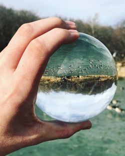 Close-up of hand holding crystal ball against trees