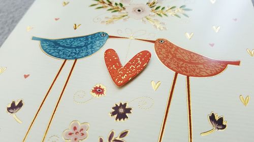 Close-up of flowers on paper