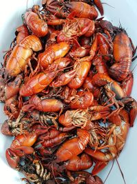 High angle close-up of crayfish in bowl