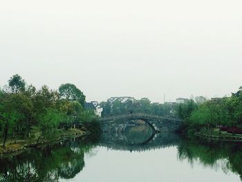 Reflection of trees in water