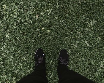 Low section of man standing on grass