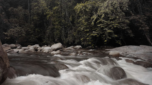 Scenic view of waterfall in forest