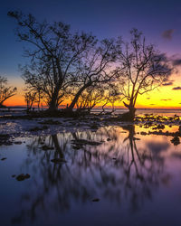 Bare trees by lake against sky during sunset