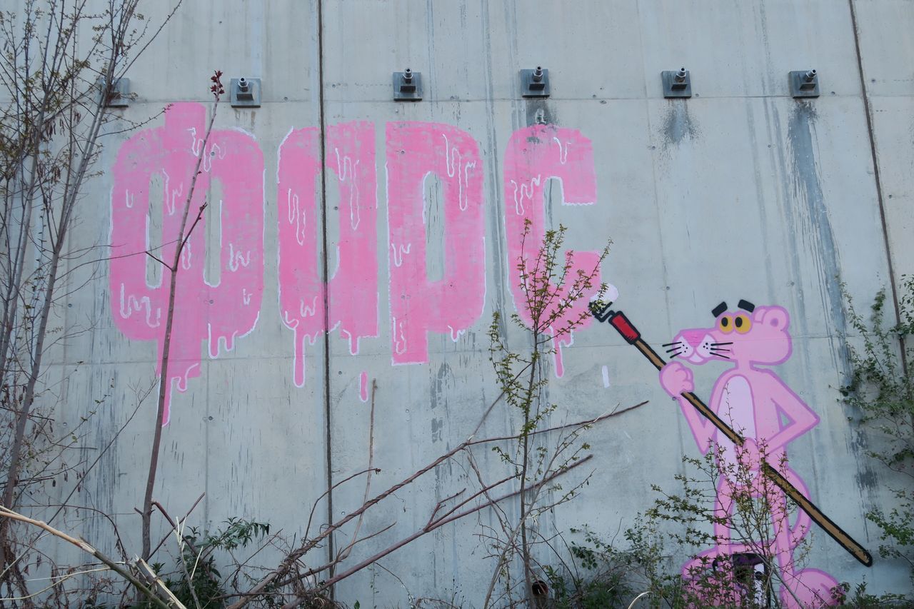 pink color, no people, communication, outdoors, pink, day, spray paint, nature