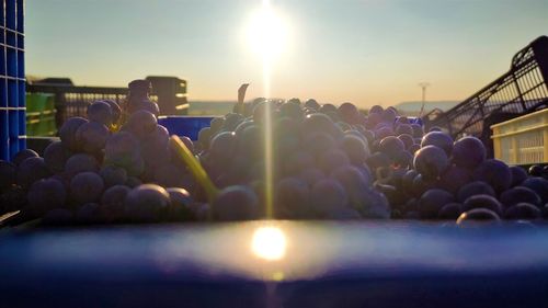 People at music concert against sky during sunset