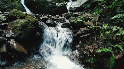 Scenic view of waterfall