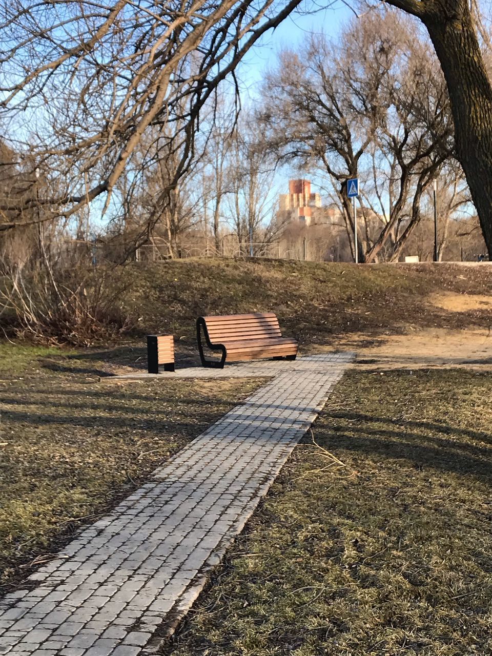 VIEW OF PARK BENCH BY TREES