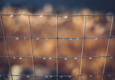 Full frame shot of water drops on wall