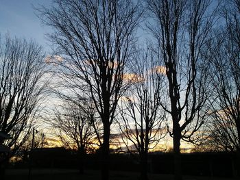 Silhouette bare trees against sky during sunset