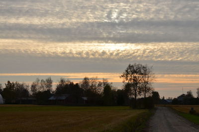 Country road along landscape and trees against sky