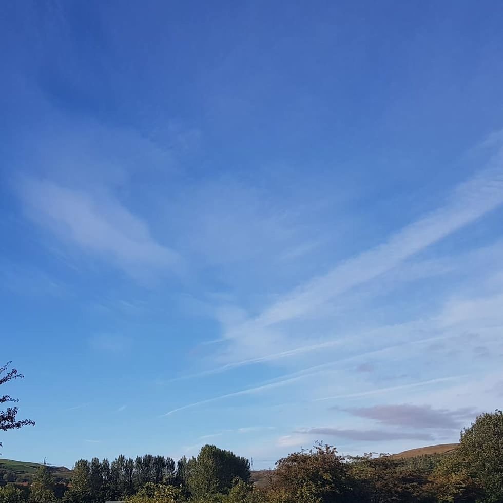 sky, cloud - sky, tree, beauty in nature, tranquility, scenics - nature, blue, tranquil scene, plant, nature, no people, day, outdoors, landscape, environment, idyllic, non-urban scene, low angle view, land, growth