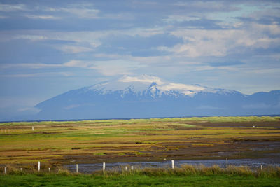 Scenic view of field against sky