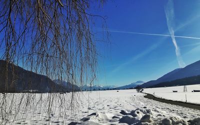 Bare tree against clear blue sky