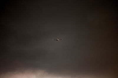 Low angle view of airplane flying in sky