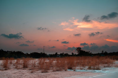 Scenic view of field against sky during sunset