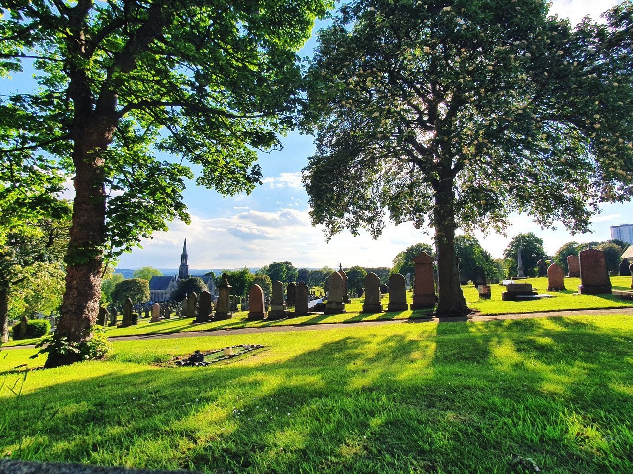 plant, tree, grass, green, nature, sky, lawn, growth, tranquility, beauty in nature, estate, sunlight, landscape, no people, scenics - nature, tranquil scene, day, environment, architecture, shadow, field, land, meadow, outdoors, park, flower, built structure, travel destinations, building, rural area, garden, building exterior