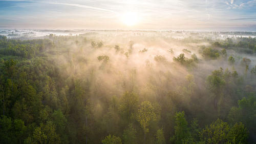 Aerial view of the upper rhine plain as the rising sun moves through the foggy forest