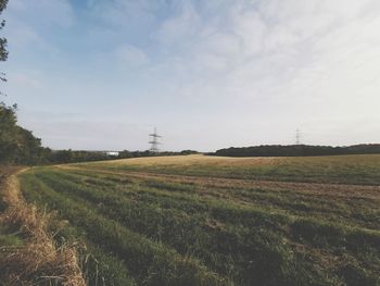 Scenic view of field against sky