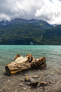 Driftwood on rock by lake against sky