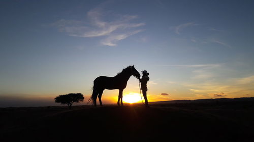 Silhouette man riding horse at desert against sky during sunset