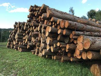 Stack of logs in field