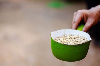 Close-up of hand holding ice cream in bowl