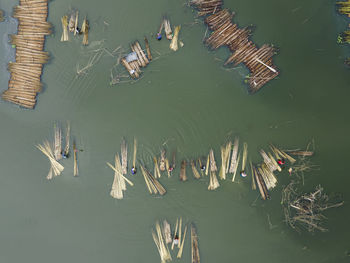 Farmers are busy separating jute fibre from stalks in a water body in natore district, bangladesh.