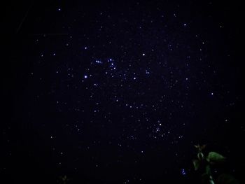 Low angle view of star field at night