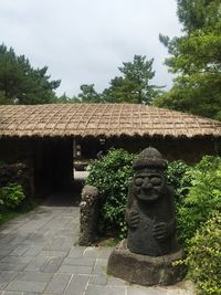 Plants growing in garden