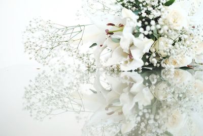 Close-up of white flowering plant
