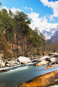 Scenic view of waterfall in forest against sky