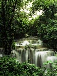 Scenic view of waterfall in forest