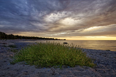 Scenic view of sea against sky during sunset