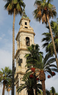 Low angle view of palm trees against sky