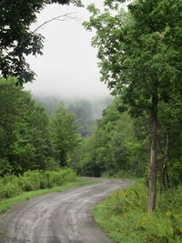 Scenic view of  backroad in foggy landscape 